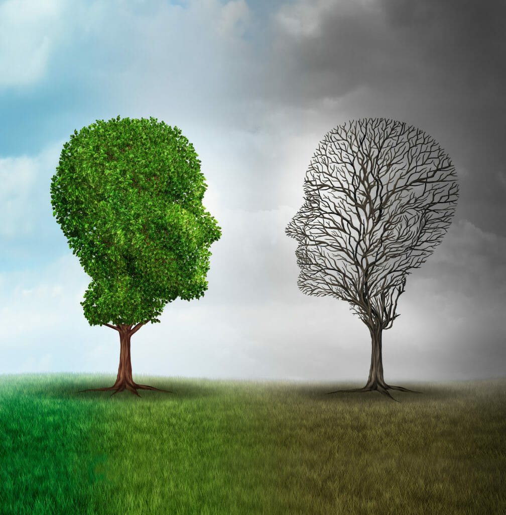 comparaison developpement personnel